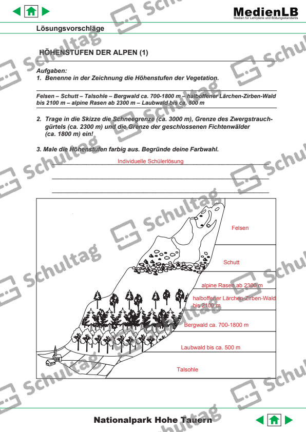 HÖHENSTUFEN DER ALPEN Schultag