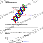 Vorschaubild von Arbeitsblatt