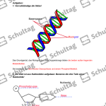 Vorschaubild von Arbeitsblatt