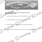 Vorschaubild von Arbeitsblatt