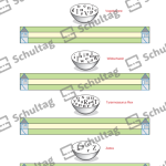 Vorschaubild von Arbeitsblatt