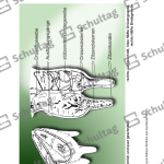 Vorschaubild von Arbeitsblatt