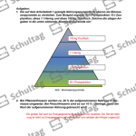 Vorschaubild von Arbeitsblatt