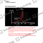 Vorschaubild von Arbeitsblatt