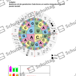 Vorschaubild von Arbeitsblatt