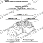 Vorschaubild von Arbeitsblatt