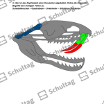 Vorschaubild von Arbeitsblatt