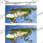 Vorschaubild von Arbeitsblatt