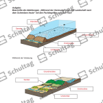 Vorschaubild von Arbeitsblatt