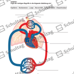 Vorschaubild von Arbeitsblatt