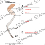 Vorschaubild von Arbeitsblatt