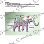 Vorschaubild von Arbeitsblatt