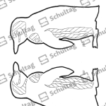 Vorschaubild von Arbeitsblatt