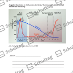 Vorschaubild von Arbeitsblatt