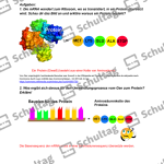 Vorschaubild von Arbeitsblatt