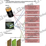 Vorschaubild von Arbeitsblatt