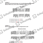 Vorschaubild von Arbeitsblatt