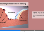 Vorschaubild von Arbeitsblatt