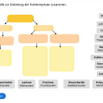 Vorschaubild von Arbeitsblatt