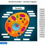 Vorschaubild von Arbeitsblatt